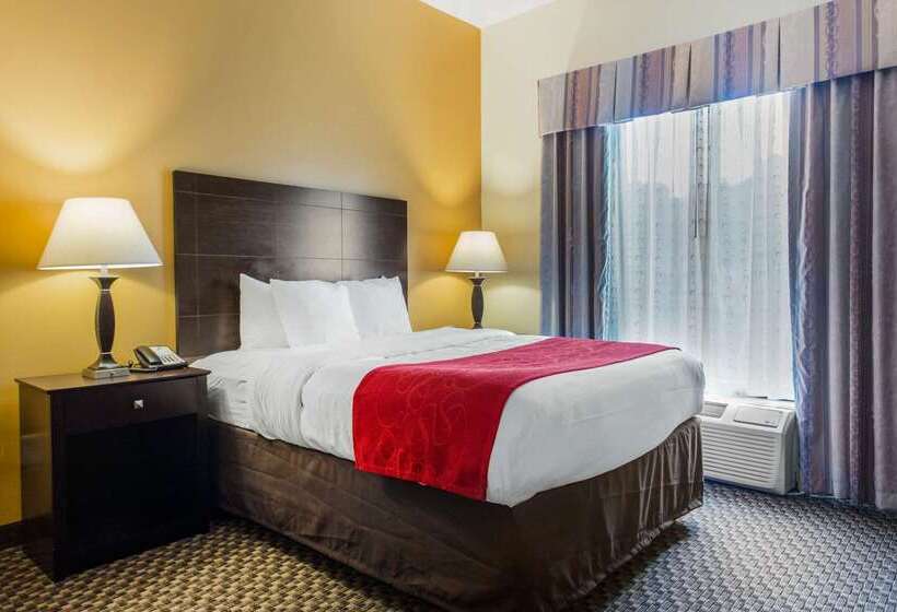 בית מלון כפרי Comfort Suites Clinton Near Presbyterian College