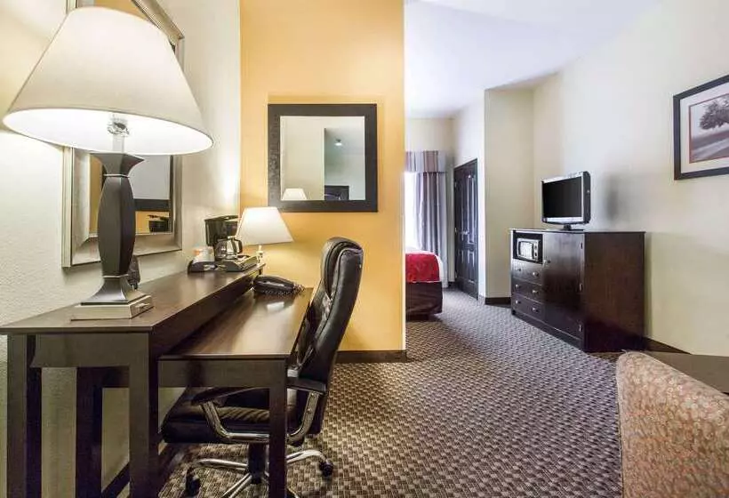 酒店 Comfort Suites Clinton Near Presbyterian College