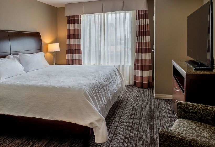 فندق Hilton Garden Inn St. Louis Airport