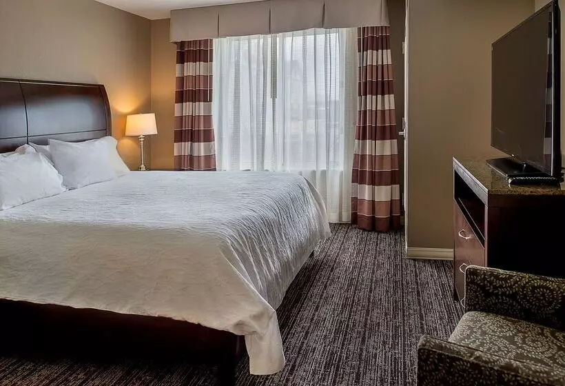 Отель Hilton Garden Inn St. Louis Airport