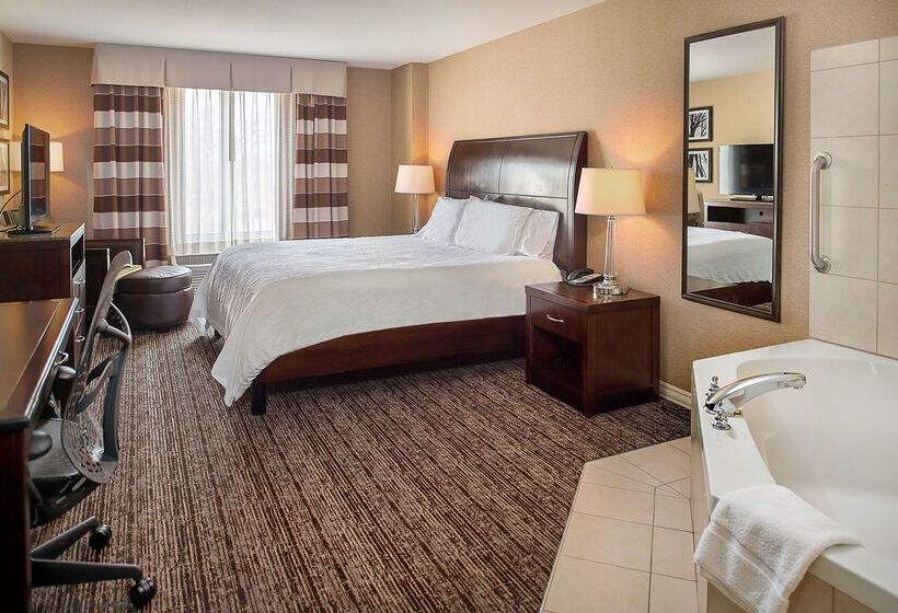 فندق Hilton Garden Inn St. Louis Airport
