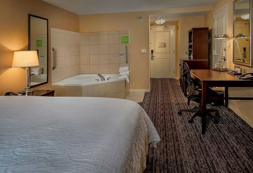 Отель Hilton Garden Inn St. Louis Airport