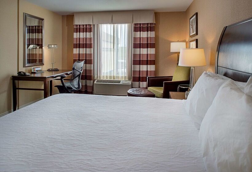 فندق Hilton Garden Inn St. Louis Airport