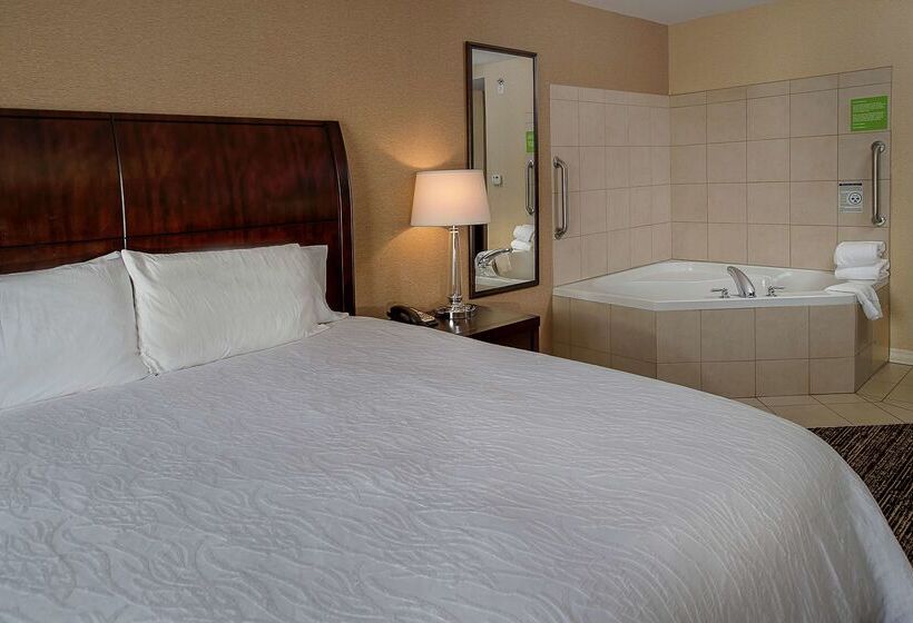 فندق Hilton Garden Inn St. Louis Airport