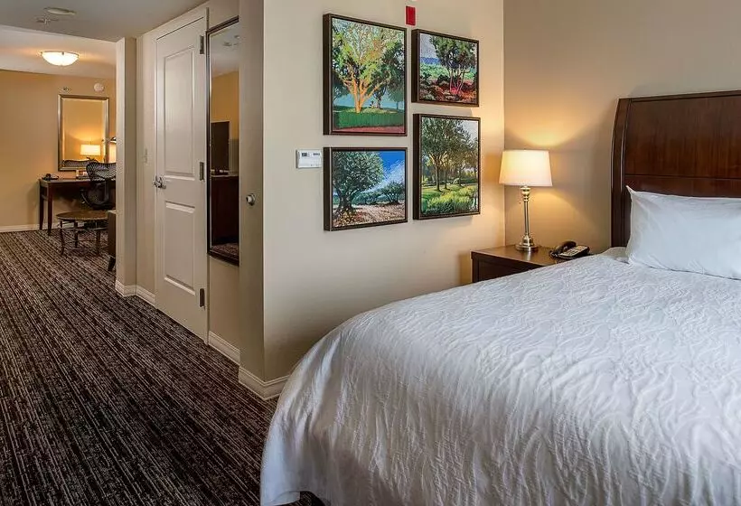 Отель Hilton Garden Inn St. Louis Airport