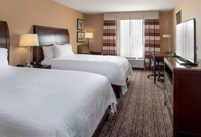 Отель Hilton Garden Inn St. Louis Airport