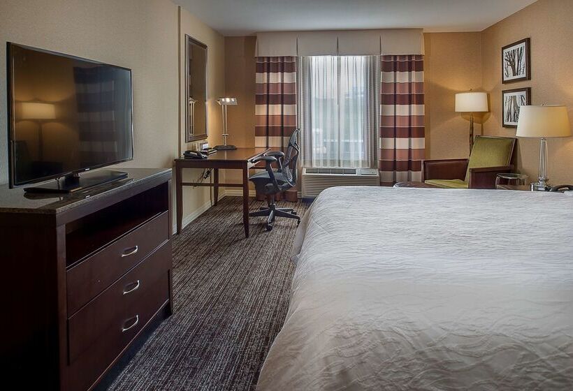 فندق Hilton Garden Inn St. Louis Airport