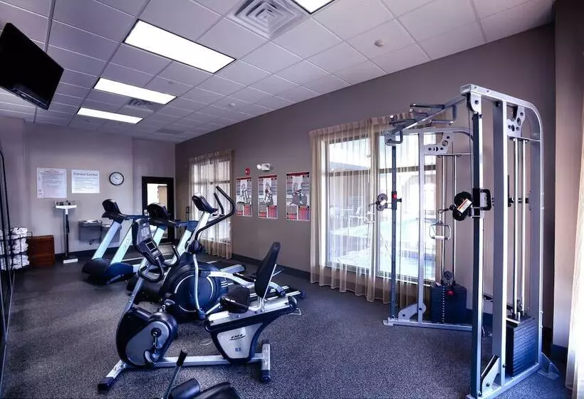 酒店 Holiday Inn Express & Suites Amarillo West, An Ihg