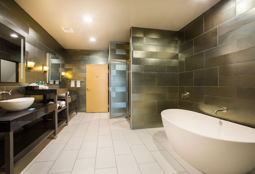 Отель Holiday Inn Express & Suites Amarillo West, An Ihg