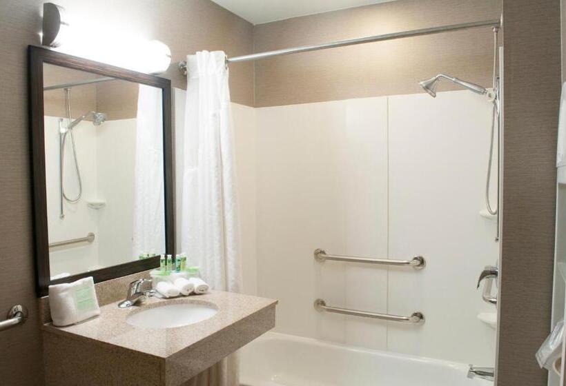 Holiday Inn Express Hotel & Suites Pittsburgh South Side, An Ihg