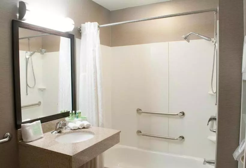 Holiday Inn Express Hotel & Suites Pittsburgh South Side, An Ihg