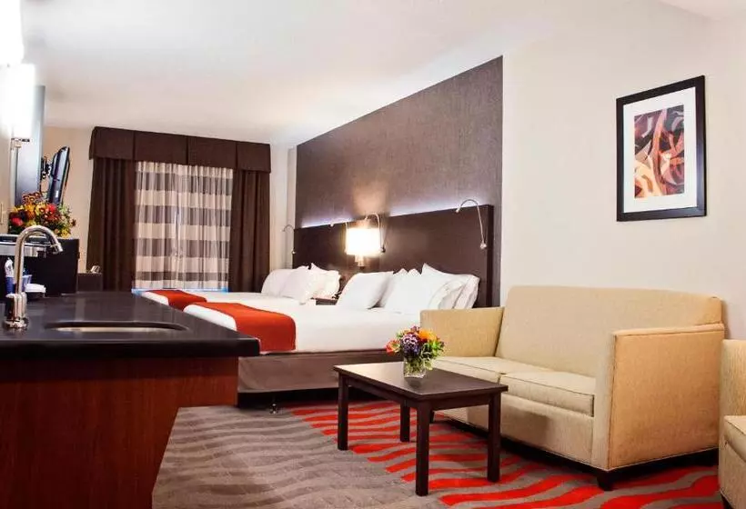Holiday Inn Express Hotel & Suites Pittsburgh South Side, An Ihg
