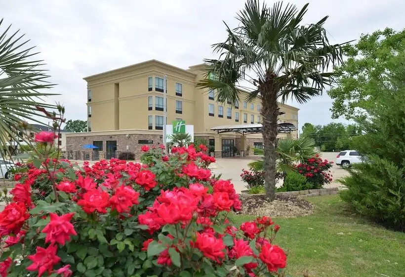 هتل Holiday Inn Montgomery South Airport, An Ihg