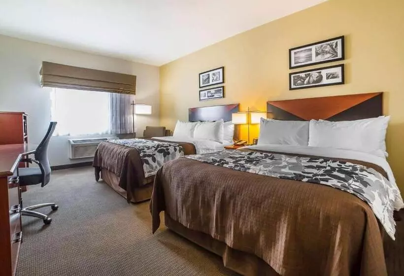 酒店 Sleep Inn & Suites