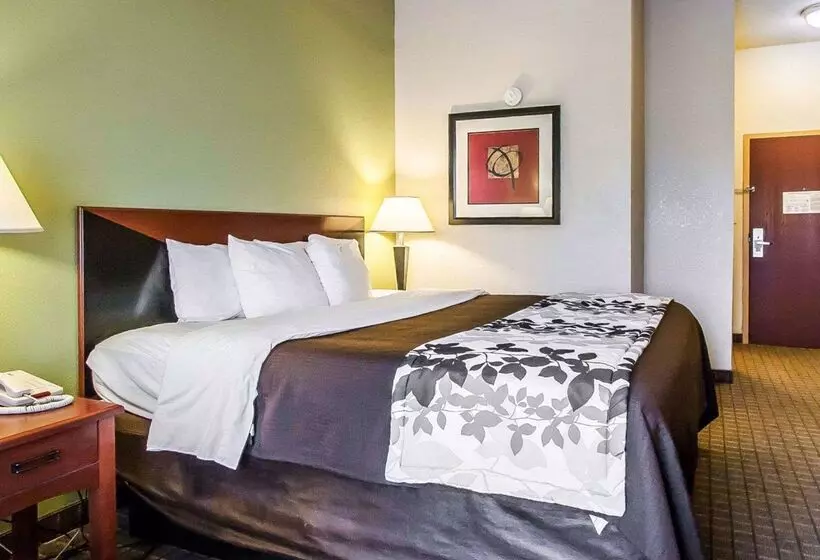 בית מלון כפרי Sleep Inn & Suites