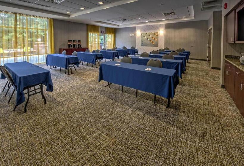 酒店 Springhill Suites By Marriott New Bern