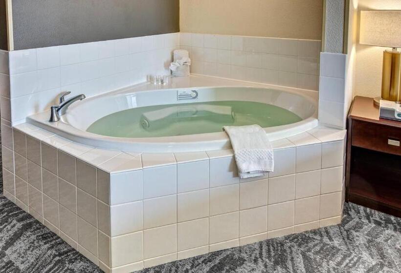 酒店 Springhill Suites By Marriott New Bern