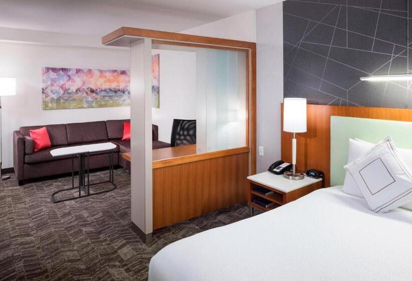 هتل Springhill Suites By Marriott Salt Lake City Airport