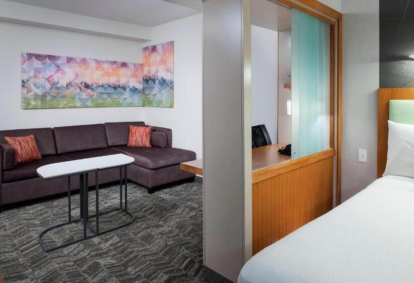 هتل Springhill Suites By Marriott Salt Lake City Airport