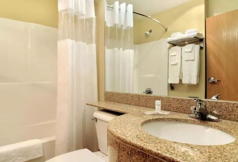 Microtel Inn & Suites Huntsville