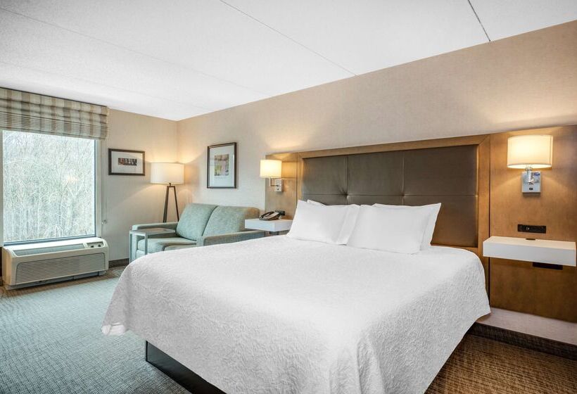 בית מלון כפרי Hampton Inn Raynhamtaunton