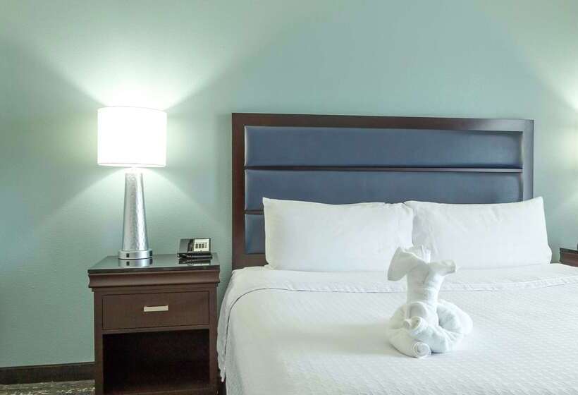 בית מלון כפרי Homewood Suites By Hilton Miami Airport West