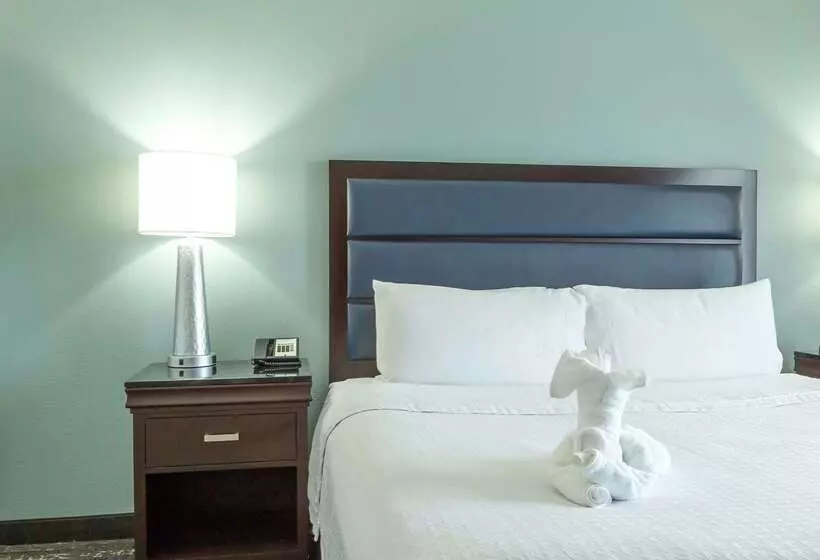 酒店 Homewood Suites By Hilton Miami Airport West