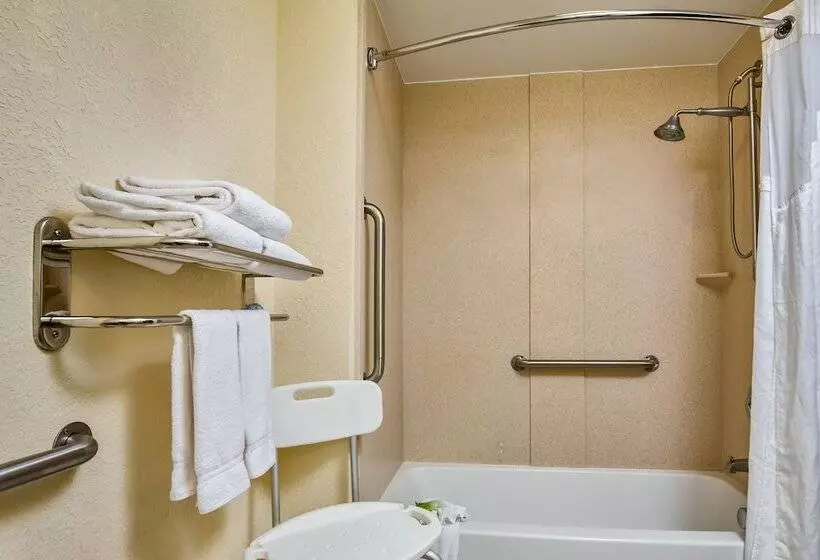 Holiday Inn Express Hotel & Suites Orlando Apopka, An Ihg