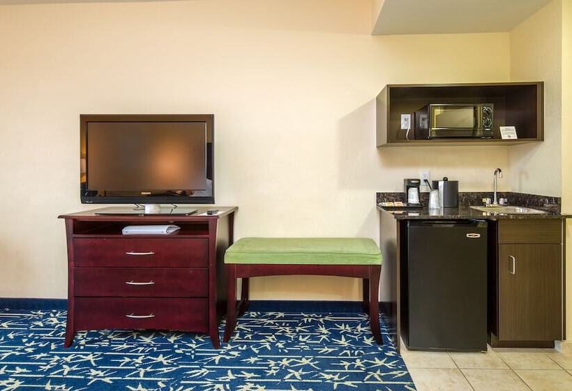 Holiday Inn Express Hotel & Suites Orlando   Apopka, An Ihg