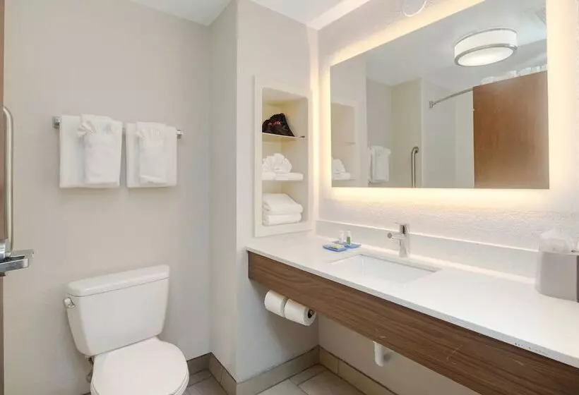 Holiday Inn Express Hotel & Suites Orlando Apopka, An Ihg