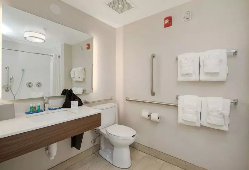Holiday Inn Express Hotel & Suites Orlando Apopka, An Ihg