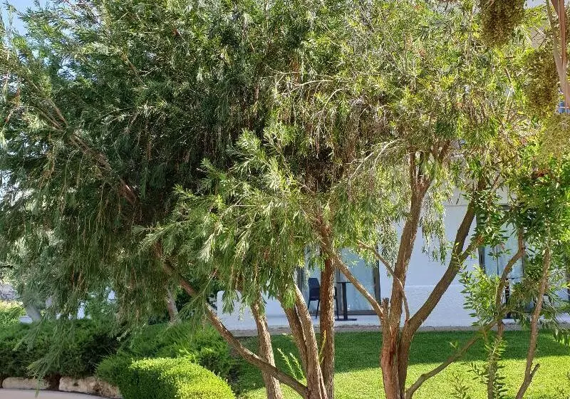 בית מלון כפרי Flegra Palace