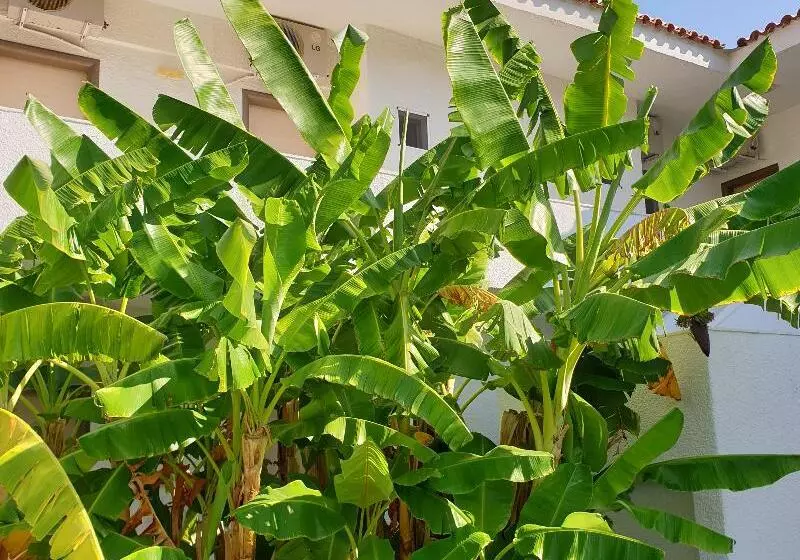 בית מלון כפרי Flegra Palace