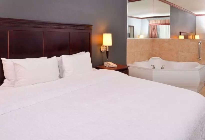 호텔 Hampton Inn & Suites Greenville