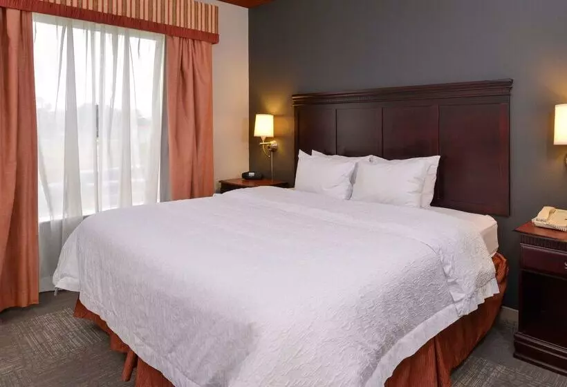 호텔 Hampton Inn & Suites Greenville