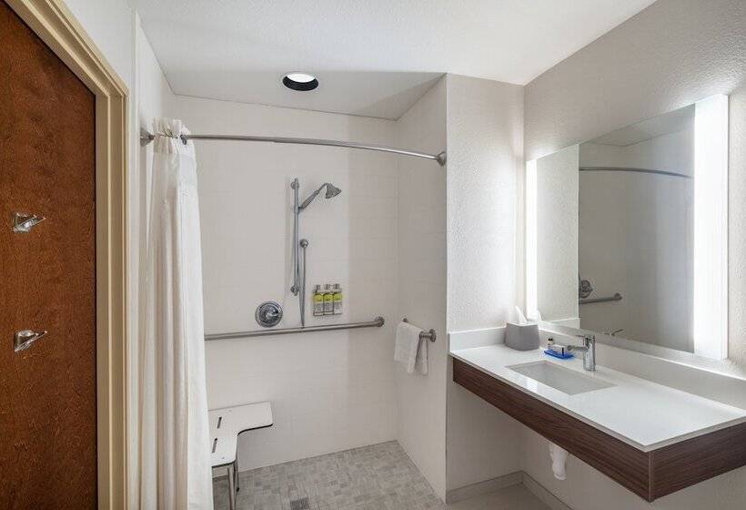 Holiday Inn Express Hotel & Suites Talladega, An Ihg