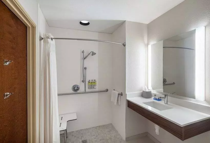 Holiday Inn Express Hotel & Suites Talladega, An Ihg