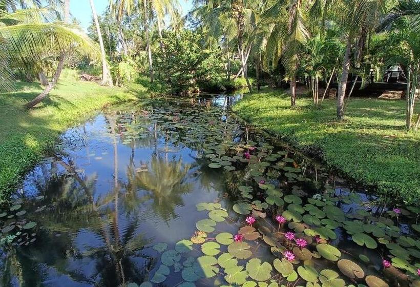 Hotel Suan Ban Krut Beach Resort