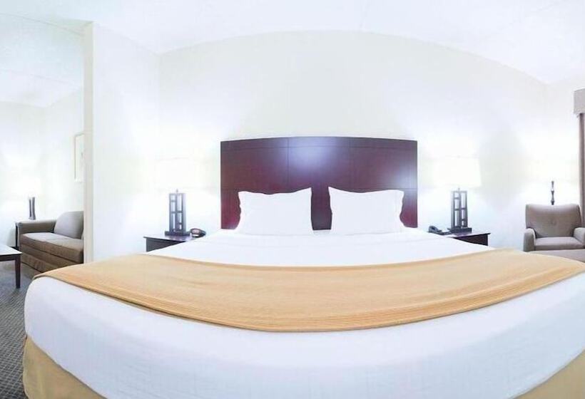 酒店 Holiday Inn Express & Suites Chicago West O Hare Arpt Area , An Ihg