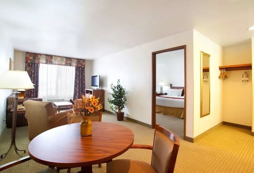 Holiday Inn Express Hotel & Suites Mattoon, An Ihg
