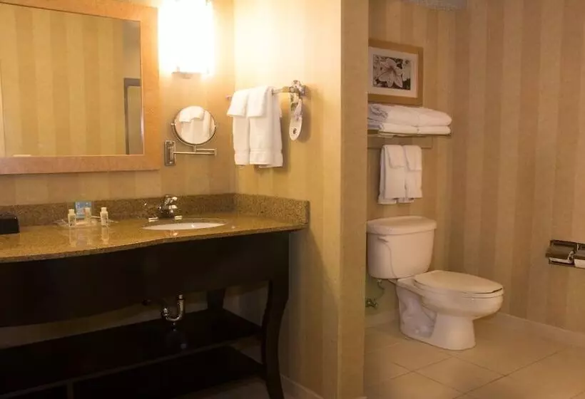 酒店 Holiday Inn Saint Louis Fairview Heights, An Ihg