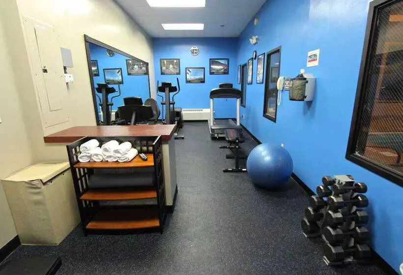 בית מלון כפרי Baymont Inn & Suites By Wyndham Findlay