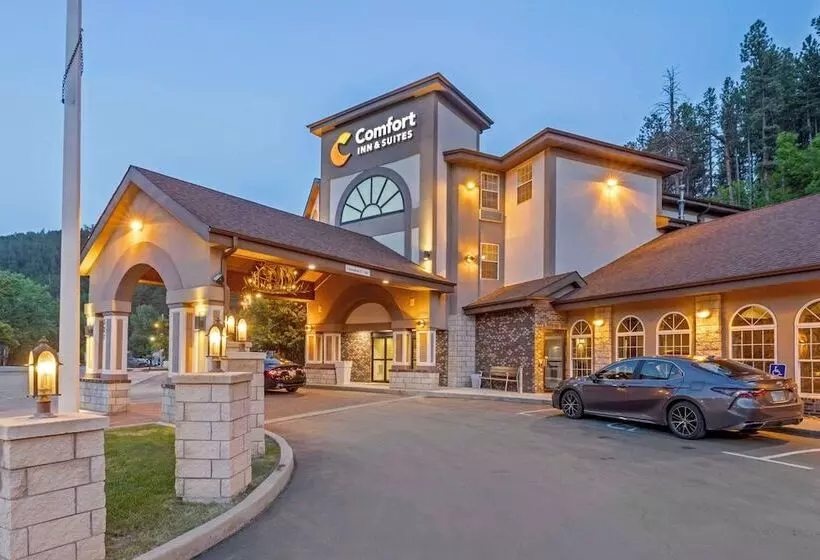 酒店 Comfort Inn & Suites Mt. Rushmore