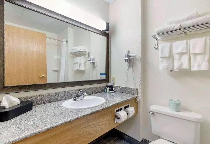 酒店 Comfort Inn & Suites Mt. Rushmore