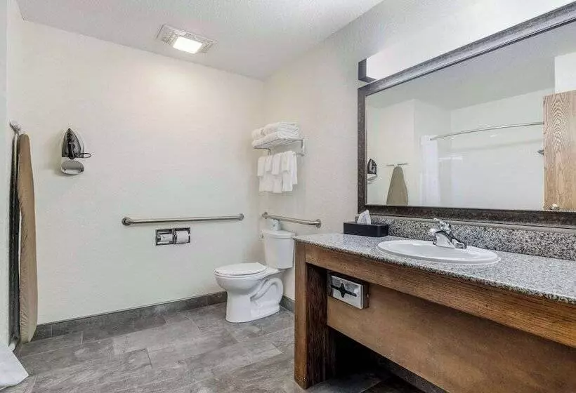 酒店 Comfort Inn & Suites Mt. Rushmore