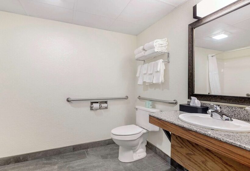 בית מלון כפרי Comfort Inn & Suites Mt. Rushmore