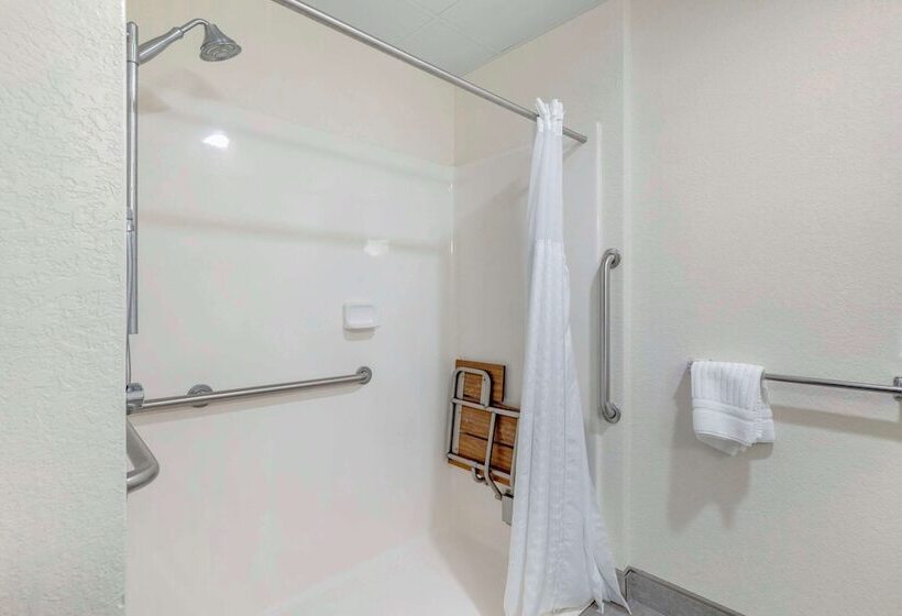 בית מלון כפרי Comfort Inn & Suites Mt. Rushmore