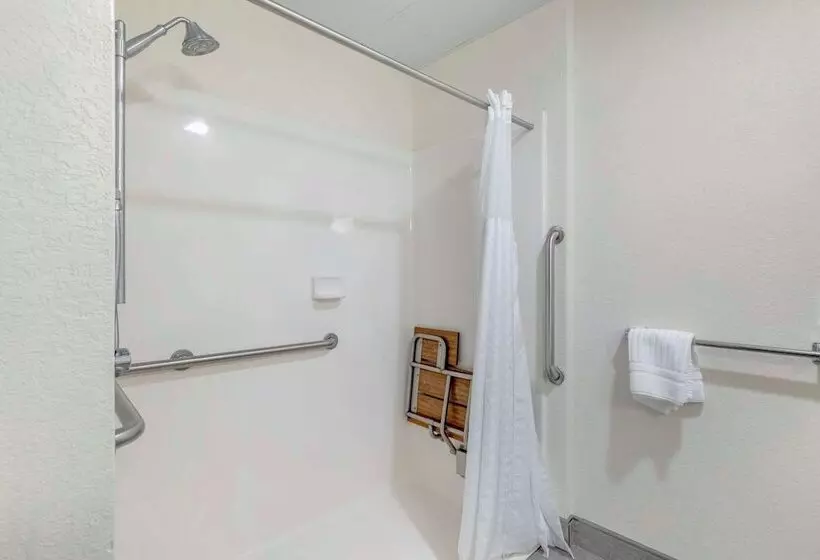 酒店 Comfort Inn & Suites Mt. Rushmore