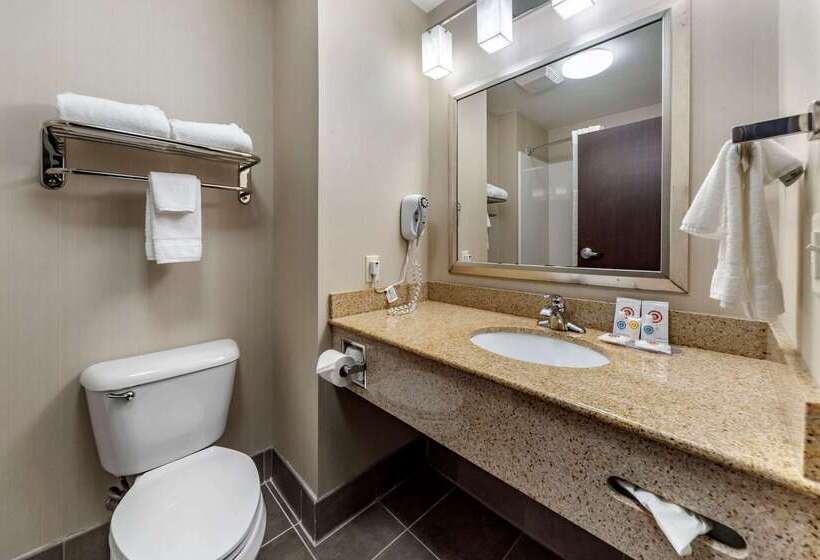 בית מלון כפרי Comfort Inn & Suites Oklahoma City West  I40