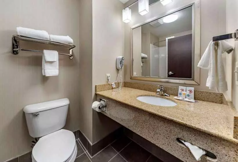 酒店 Comfort Inn & Suites Oklahoma City West  I40